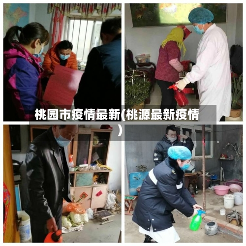 桃园市疫情最新(桃源最新疫情)-第3张图片