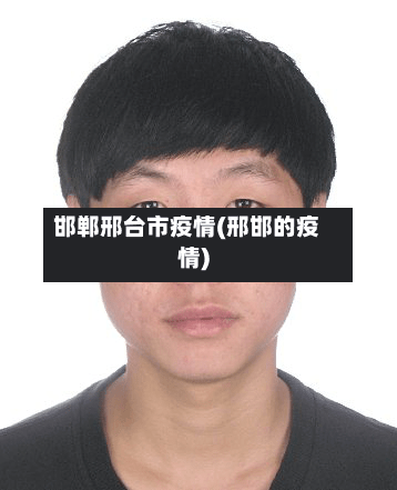 邯郸邢台市疫情(邢邯的疫情)-第2张图片