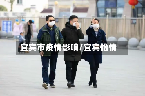 宜宾市疫情影响/宜宾怡情-第2张图片