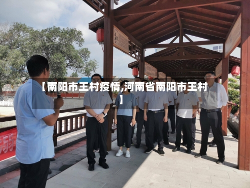 【南阳市王村疫情,河南省南阳市王村】-第2张图片