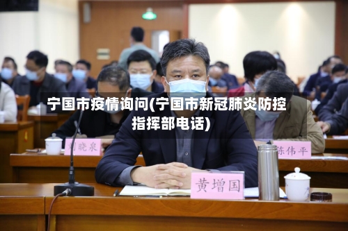 宁国市疫情询问(宁国市新冠肺炎防控指挥部电话)-第2张图片
