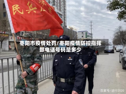 枣阳市疫情处罚/枣阳疫情防控指挥部电话号码是多少