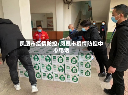 凤凰市疫情防控/凤凰市疫情防控中心电话-第3张图片