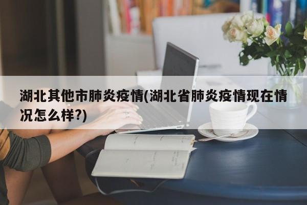 湖北其他市肺炎疫情(湖北省肺炎疫情现在情况怎么样?)