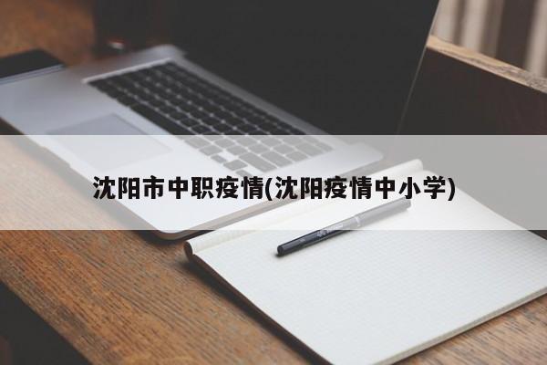沈阳市中职疫情(沈阳疫情中小学)