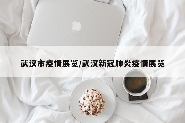 武汉市疫情展览/武汉新冠肺炎疫情展览